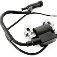 Aprindere Motor de 7cp DRK, Bobina Inductie, Model 168 F